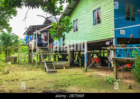 Casa tradizionale e comune a palafitte utilizzata dagli abitanti della foresta pluviale in Borneo, Malesia, Asia Foto Stock