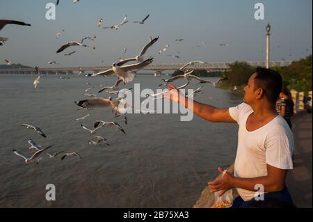 31.01.2017, Mawlamyine, Repubblica dell'Unione di Myanmar, Asia - UN uomo sta nutrendo gemito sul lungomare di Mawlamyine. [traduzione automatica] Foto Stock