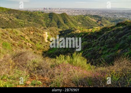 Sentiero escursionistico del Griffith Park e spettacolare vista del centro di Los Angeles da Hollywood Hills Foto Stock