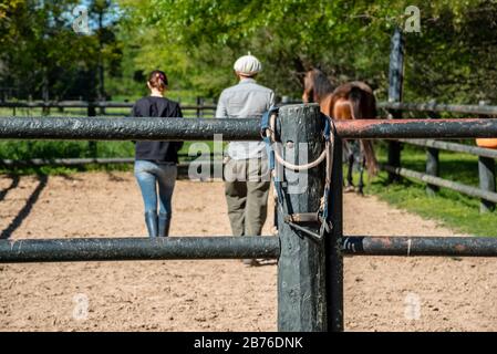 Una donna e un uomo che camminano in un Corral con un cavallo. Alcuni cavalli si ripresentano su un palo di legno Foto Stock