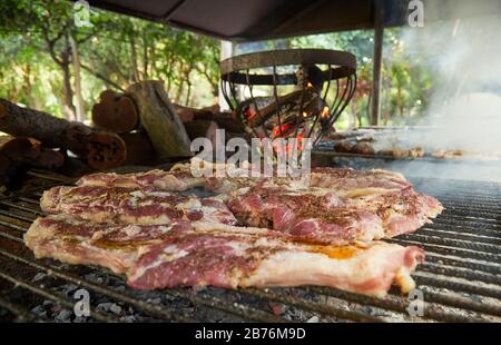 MENDOZA, ARGENTINA, 08 febbraio 2020. Asado, barbecue di campagna e cucina tradizionale argentina, Casa de campo, Guaymallén. Foto: Axel Lloret / www. Foto Stock