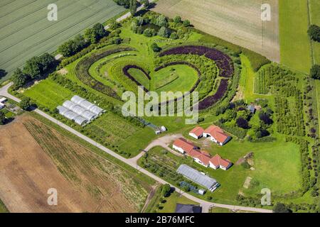 , piantagioni a forma di cuore a Markfelder Str. In Waltrop, 06.06.2014, vista aerea, Germania, Renania settentrionale-Vestfalia, Ruhr Area, Waltrop Foto Stock