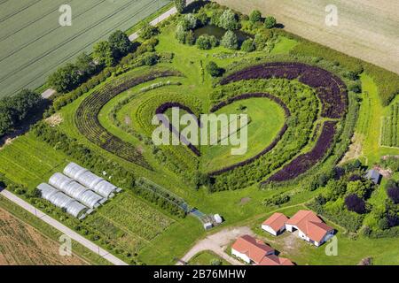 , piantagioni a forma di cuore a Markfelder Str. In Waltrop, 06.06.2014, vista aerea, Germania, Renania settentrionale-Vestfalia, Ruhr Area, Waltrop Foto Stock