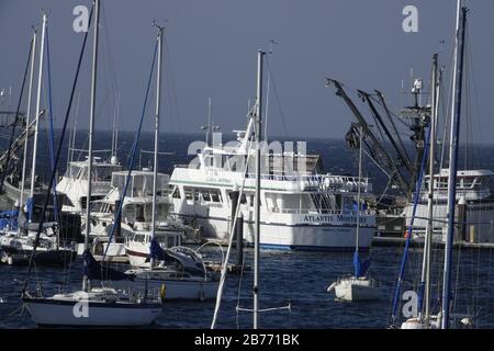 Monterey, California, Stati Uniti. 13 Marzo 2020. Monterey, praticamente vuoto di turisti dopo l'annuncio da parte del presidente Trump di una 'emergenza nazionale' a causa della pandemia di Coronavirus, qui è raffigurata la nave di avvistamento delle balene Atlantis ancorerd in porto, senza i takers per vedere l'azione sulla baia. Credit: Motofoto/Alamy Live News Foto Stock