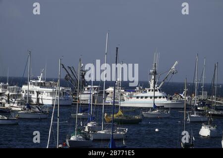 Monterey, California, Stati Uniti. 13 Marzo 2020. Monterey, praticamente vuoto di turisti dopo l'annuncio da parte del presidente Trump di una 'emergenza nazionale' a causa della pandemia di Coronavirus, nella foto sono le navi di avvistamento delle balene Atlantis e Sea Godess ancorerd in porto, senza alcun takers per vedere l'azione sulla baia. Credit: Motofoto/Alamy Live News Foto Stock