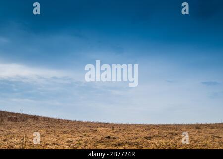Bellissimo cielo blu e verde erba gialla. Foto Stock