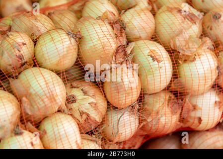 Cipolle all'interno di sacchi a rete in una giornata di sole pronto per essere consumato Foto Stock