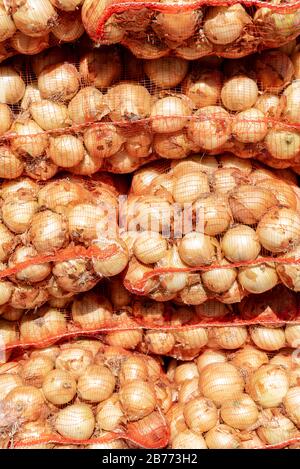 Cipolle all'interno di sacchi a rete in una giornata di sole pronto per essere consumato Foto Stock