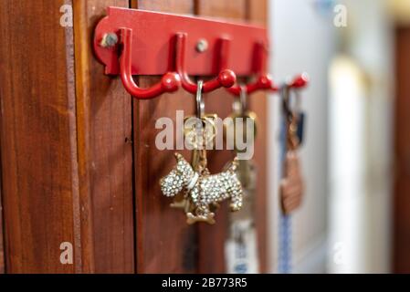 Chiavi con una catena di chiave a forma di cane appeso su una parete di legno Foto Stock