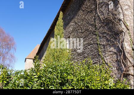 Vista dal basso della parete in pietra dell'edificio e dei cespugli accanto ad esso Foto Stock