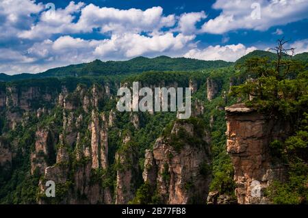 Vista da Tianzishan in Zhangjiajie National Forest Park. Nella provincia del Hunan, Cina. Foto Stock