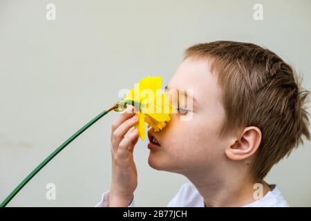 Concetto primavera con bel ragazzo e narciso giallo fiore in un giardino Foto Stock