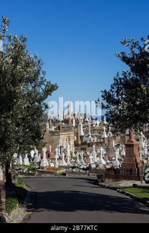 Il Waverley Cemetry è una cimetria patrimonio-patrimonio in cima alle scogliere a Bronte nella periferia orientale di Sydney, NSW, Australia. La passeggiata costiera wa Foto Stock