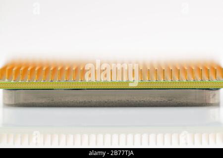 Unità processore centrale. Pin dorati di un nucleo. Spazio copia in alto. Profondità di campo bassa. Sfondo bianco. Foto Stock