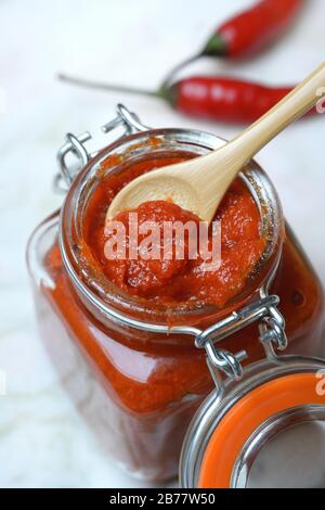 Pasta di curry tailandese rosso in vetro, Germania Foto Stock