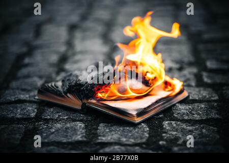 Sul sentiero in pietra delle loro ciottoli si trova un vecchio libro, le cui pagine bruciano con una fiamma brillante e si trasformano in cenere. Distruzione del dissenso e qui Foto Stock