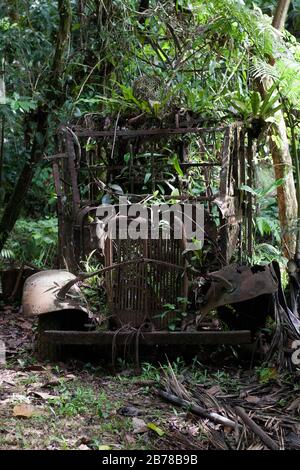 Palau, Micronesia | Palau, Miktonesien Foto Stock