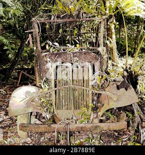 Palau, Micronesia | Palau, Miktonesien Foto Stock