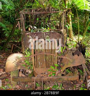 Palau, Micronesia | Palau, Miktonesien Foto Stock