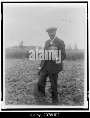 George Washington Carver, ritratto a tutta lunghezza, in piedi sul campo, probabilmente a Tuskegee, tenendo pezzo di terreno Foto Stock