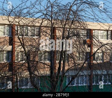 Blocco di appartamenti illuminati dal sole invernale di prima mattina con alberi senza frondoli in primo piano Foto Stock