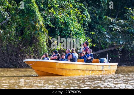 Turisti su una barca fluviale sul fiume Kinabatangan, Sabah distretto di Borneo su una fauna selvatica guardare nella foresta pluviale, Sabah, Borneo, Malesia, Asia Foto Stock