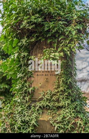 Sheffield, Regno Unito - 10 dicembre 2018: Tombe e lapidi in un cimitero coperto da edera sovracoltivata e altra vegetazione Foto Stock
