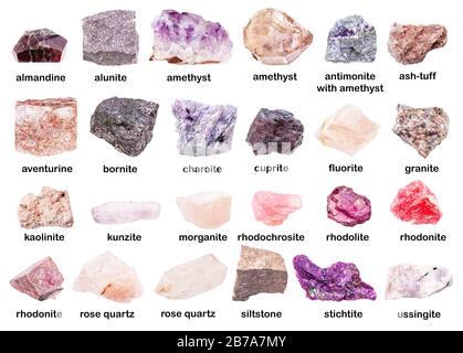 set di vari minerali rosa non lucidati con nomi (rodonite, rodolite, rodocrosite, almandine, morganite, bornite, ametista, cuprite, siltstone, Foto Stock