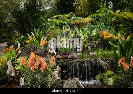 Mostra di orchidee e scultura nel Giardino Nazionale delle Orchidee di Singapore. Foto Stock