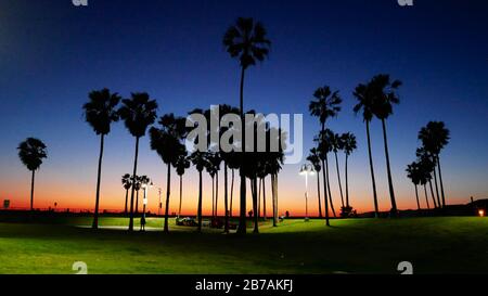 Classica californiana viola Venice Beach Los Angeles vista al tramonto del parco delle palme in serata Foto Stock