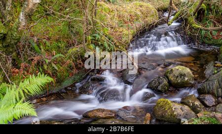 Cascata a Llyn Crafnant, Snowdonia, Galles del Nord Foto Stock