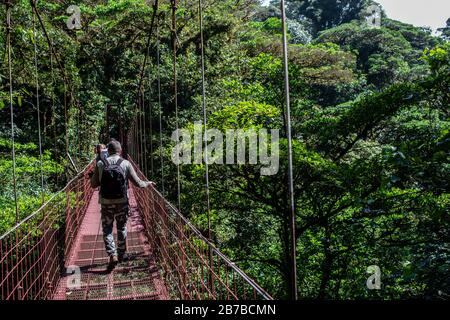 Monteverde Cloud Forest Riserva Biologica, Costa Rica, Centroamerica Foto Stock