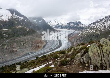 Il ghiacciaio dell'Aletsch vicino Bettmeralp nelle alpi Svizzere in una giornata nuvolosa Foto Stock