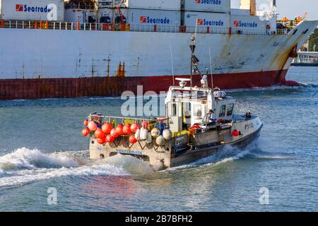 Una piccola barca da pesca tradizionale è fatta passare da una grande nave container vicino a Gosport nel porto di Portsmouth, Portsmouth, Hampshire, Inghilterra meridionale Foto Stock