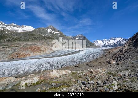 Il ghiacciaio dell'Aletsch vicino Bettmeralp nelle alpi svizzere in una giornata di sole e cielo blu Foto Stock