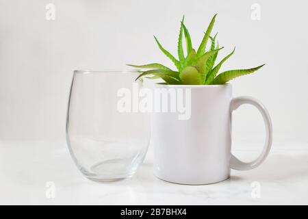 Questo mockup da tazza è caratterizzato da un bicchiere di vino senza stelo accanto a una tazza da 11 once. All'interno della tazza si trova una allegra pianta verde di aloe vera. Foto Stock