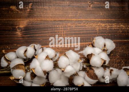 Ciotole di cotone mature su sfondo di legno Foto Stock