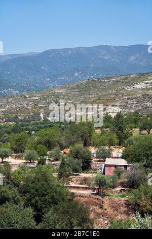 La campagna ai piedi del Monte Troodos - l'antica regione di coltivazione dell'uva. Limassol. Cipro Limassol. Cipro Foto Stock