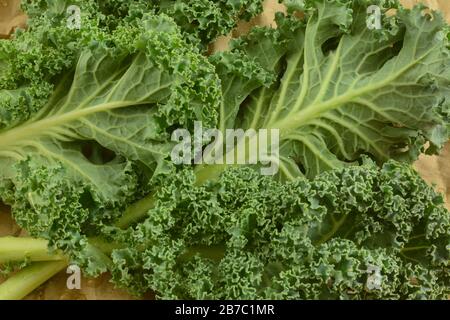 Gambi di kale appena risciacquati su carta verde-ecologica marrone prouice Foto Stock