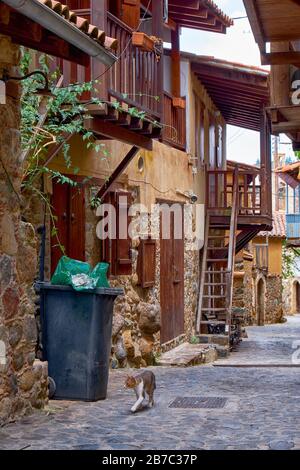 La vista di un gatto lungo la strada lastricata in pietra della vecchia Kakopetria con le tradizionali case residenziali a due punti con balconi in legno e con Foto Stock