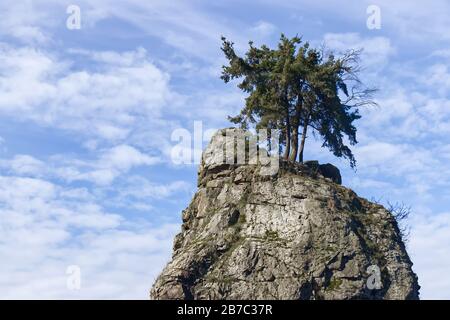 Primo piano Vista della splendida Siwash Rock nello Stanley Park con l'albero solitario in cima ad esso Foto Stock