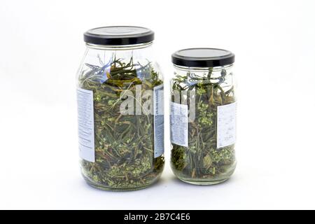 Due vasetti di vetro contenenti marijuana casalinga isolata su un'immagine di sfondo trasparente con spazio di copia in formato orizzontale Foto Stock