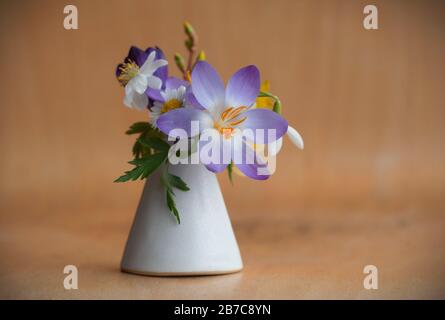 Mix di fiori primaverili: crocus, snowdrop e altri campi primi fiori in un mini vaso isolato su sfondo beige Foto Stock