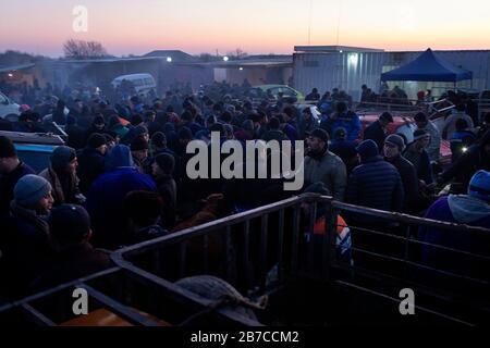 Scena al mercato del bestiame settimanale mattina in un villaggio vicino Bukhara, Uzbekistan Foto Stock