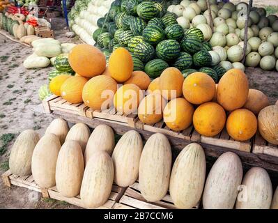 Mercato della frutta con vari meloni in Kazakhstan Foto Stock