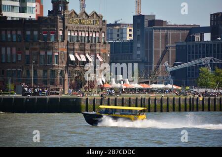 Rotterdam, Kop van Zuid, Paesi Bassi-Maggio 2019; Vista sull'area di Kop van Zuid che include l'ex edificio degli uffici della Holland America Line con una w Foto Stock