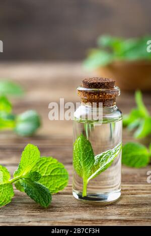 Olio essenziale naturale e menta su sfondo di legno Foto Stock