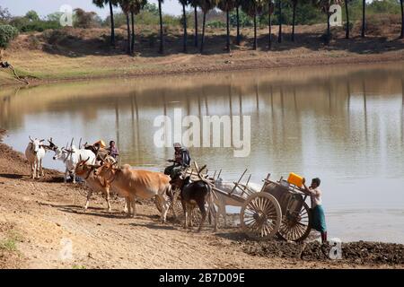 Approvvigionamento idrico, paese tra Nyaung U e Popa Mountain, Mandalay regione, Myanmar, Asia Foto Stock