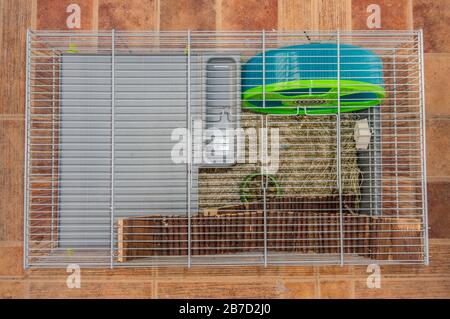 Criceto con accessori e giocattoli Foto Stock