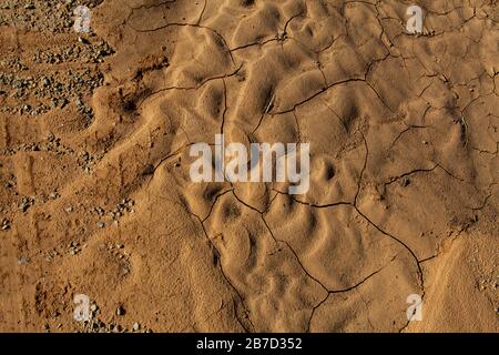 Deserto pudle terreno asciutto con crepe come dune e rocce Foto Stock